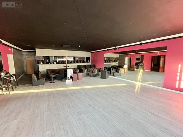 Immeuble à vendre à Ingrandes-Le-Fresne-sur-Loire dans le Maine-et-Loire (49123), ref : 49019-3368