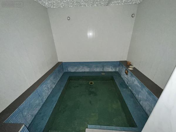 Immeuble à vendre à Ingrandes-Le-Fresne-sur-Loire dans le Maine-et-Loire (49123), ref : 49019-3368