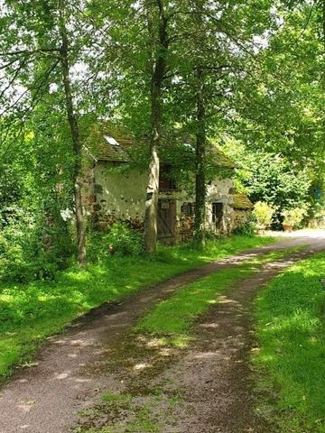 Vente / Maison avec dépendance