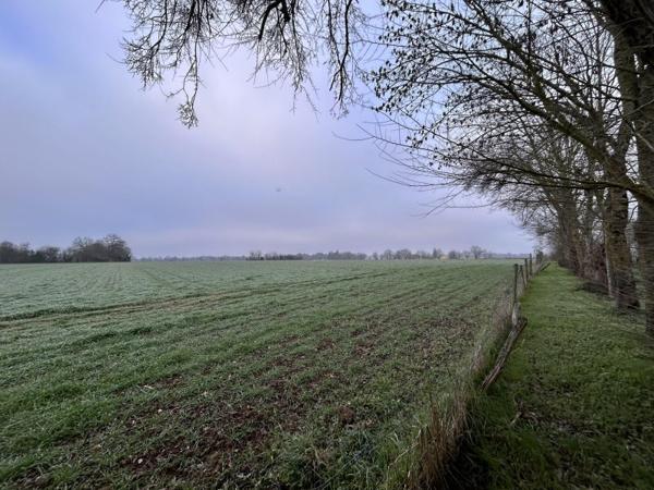 Vente / Maison avec dépendance