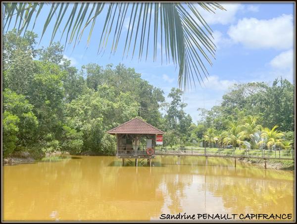A VENDRE A KOUROU (GUYANE FRANCAISE) UNE SPLENDIDE PROPRIETE - VILLA T4 DE 120 m² - POOL HOUSE - CARBET SUR PILOTIS - SUPERFICIE TERRAIN 2 HECTARES - AU PRIX DE 678 000 €.
