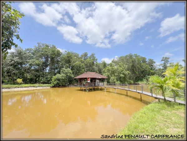 A VENDRE A KOUROU (GUYANE FRANCAISE) UNE SPLENDIDE PROPRIETE - VILLA T4 DE 120 m² - POOL HOUSE - CARBET SUR PILOTIS - SUPERFICIE TERRAIN 2 HECTARES - AU PRIX DE 678 000 €.