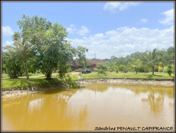 A VENDRE A KOUROU (GUYANE FRANCAISE) UNE SPLENDIDE PROPRIETE - VILLA T4 DE 120 m² - POOL HOUSE - CARBET SUR PILOTIS - SUPERFICIE TERRAIN 2 HECTARES - AU PRIX DE 678 000 €.