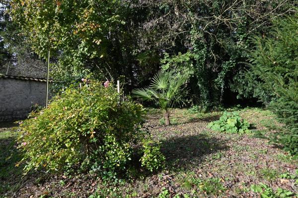 Viager occupé + viager libre