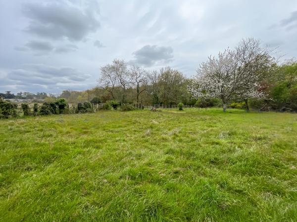 Terrain - 4236 m² Exclusivité