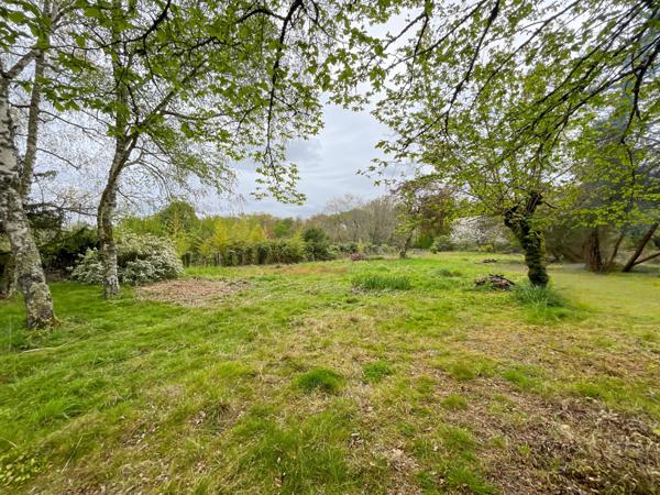 Terrain - 4236 m² Exclusivité