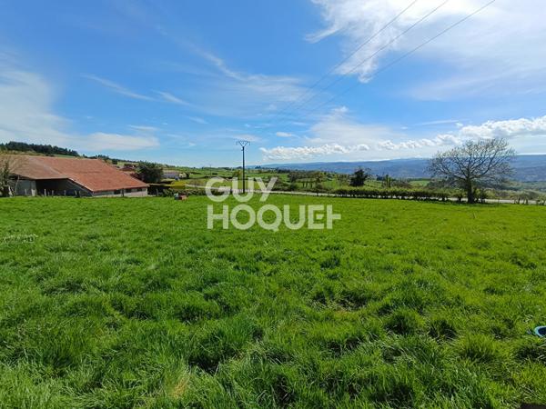 Terrain constructible à vendre à Saint-Martin-la-Sauveté (42260)