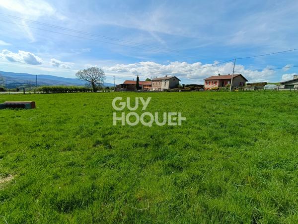 Terrain constructible à vendre à Saint-Martin-la-Sauveté (42260)