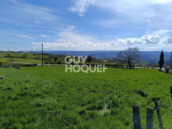 Terrain constructible à vendre à Saint-Martin-la-Sauveté (42260)