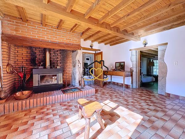 Trézioux (63520) Belle maison au calme à Trézioux