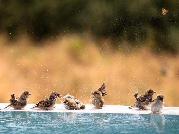 Belle parcelle de terrain de 760 m² avec vue dégagée