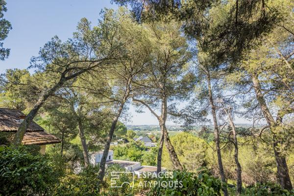 Un havre de paix dans un quartier prisé de Béziers