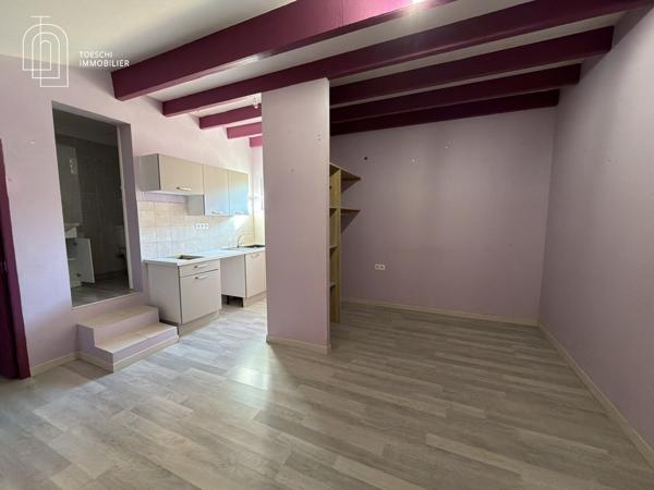 Propriété avec deux habitations, studio et bureau indépendant – Arles 850 000 €