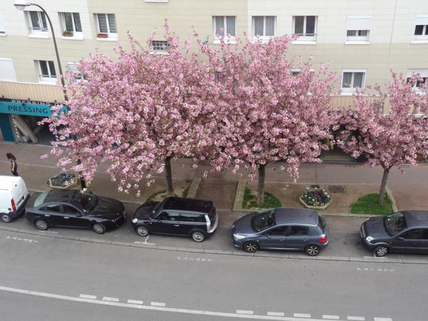 Suresnes (92150) Résidence services séniors Jardins d'Arcadie Suresnes (92) appartement 3 pièces en vente