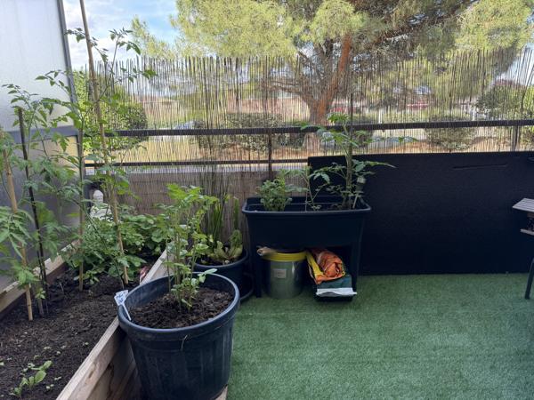 31840 Seilh Vente appartement 22 m 2 habitable - 2 Pièces - 79 380 € F.A.I (**) / Réference: M1493