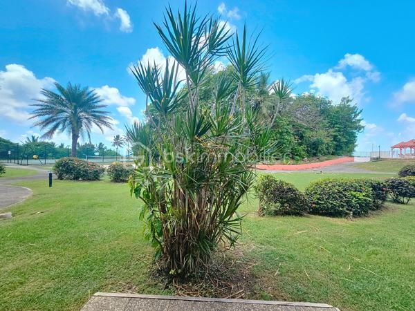 Saint François - Anse des Rochers
Célèbre site doté d'une magnifique cocoteraie s'étendant sur 7 hectares , d'un accès plage direct , d'un restaurant de plage, d'une grande piscine à débordement vue mer, d'un cours de tennis et d'un service de gardiennage avec accès sécurisé, le domaine de l' Anse des Rochers est sans conteste le lieu par excellence voué à un investissement locatif saisonnier.
Aujourd'hui je vous propose cet appartement entièrement rénové, en rez-de-jardin orienté cocoteraie!
Il se compose d'une entrée avec placard aménagé , une salle d'eau / toilettes rénovée avec douche , aménagement colonne de rangement et machine à laver, une pièce de vie climatisée chambre à coucher, espace bureau télétravail , une grande varangue (séparée par baie vitrée à galandage 4 ventaux avec film sans tain) offrant une grande cuisine équipée refaite à neuf et un espace convivial bien ventilé, orienté sur le jardin de la résidence avec en bonus une jolie vue mer.
Ses plus :
- son emplacement et son orientation
- climatisation et ventilateurs plafonniers
- carrelage refait avec ragréage : unité des sols et des niveaux
- logement fibré avec ligne personnelle
- aucun travaux à prévoir
- vendu meublé clé en main avec ses réservations en cours
Vous l'avez compris ce bien est l'idéal pour un investissement locatif et un pied à terre alors n'hésitez pas à me contacter pour de plus amples informations, accéder à la vidéo ou positionner une visite.