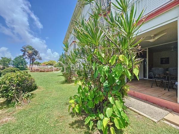 Saint François - Anse des Rochers
Célèbre site doté d'une magnifique cocoteraie s'étendant sur 7 hectares , d'un accès plage direct , d'un restaurant de plage, d'une grande piscine à débordement vue mer, d'un cours de tennis et d'un service de gardiennage avec accès sécurisé, le domaine de l' Anse des Rochers est sans conteste le lieu par excellence voué à un investissement locatif saisonnier.
Aujourd'hui je vous propose cet appartement entièrement rénové, en rez-de-jardin orienté cocoteraie!
Il se compose d'une entrée avec placard aménagé , une salle d'eau / toilettes rénovée avec douche , aménagement colonne de rangement et machine à laver, une pièce de vie climatisée chambre à coucher, espace bureau télétravail , une grande varangue (séparée par baie vitrée à galandage 4 ventaux avec film sans tain) offrant une grande cuisine équipée refaite à neuf et un espace convivial bien ventilé, orienté sur le jardin de la résidence avec en bonus une jolie vue mer.
Ses plus :
- son emplacement et son orientation
- climatisation et ventilateurs plafonniers
- carrelage refait avec ragréage : unité des sols et des niveaux
- logement fibré avec ligne personnelle
- aucun travaux à prévoir
- vendu meublé clé en main avec ses réservations en cours
Vous l'avez compris ce bien est l'idéal pour un investissement locatif et un pied à terre alors n'hésitez pas à me contacter pour de plus amples informations, accéder à la vidéo ou positionner une visite.