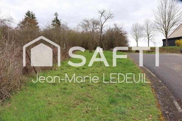 Terrain de loisir, verger.