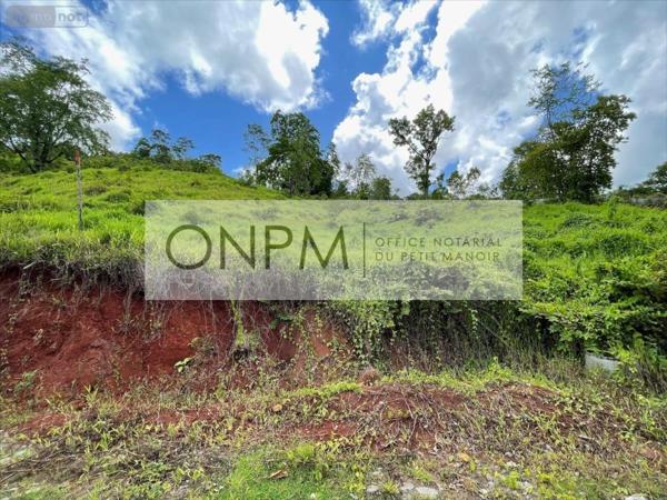 Terrain à Batir à vendre à Rivière-Salée en Martinique (97215), ref : 97207-684