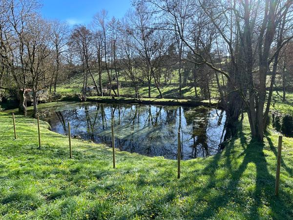 THORIGNY TERRAIN A VENDRE EN EXCLUSIVITE AMANDA 500 m²