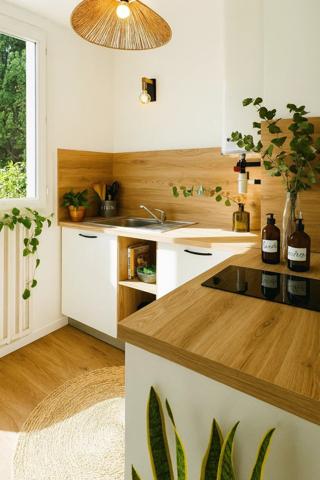 Location Appartement 3 pièces 48 m2 à Agen