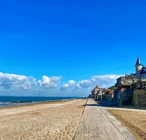 Appartement Blonville Sur Mer 1 pièce 20 m2