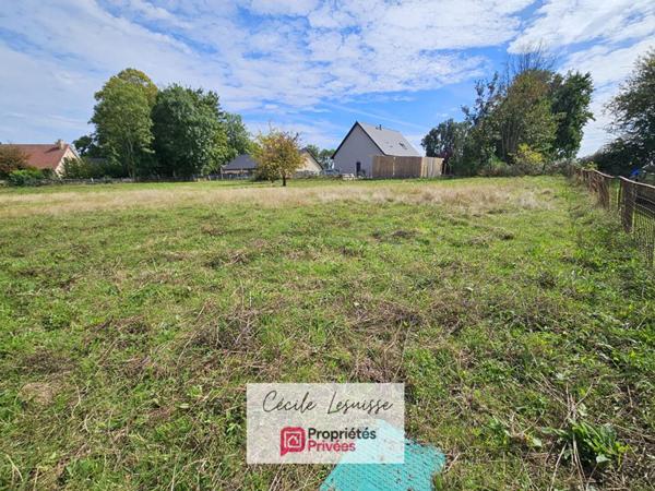 Terrain plat viabilisé - 781m²
