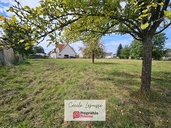 Terrain plat viabilisé - 781m²