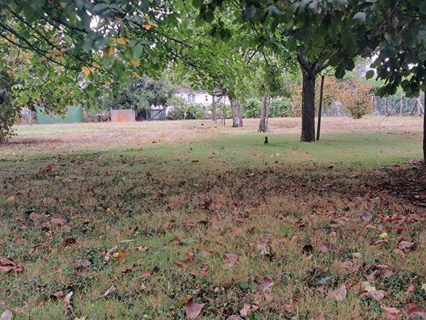 Maison 5 pièces à vendre Dangé Saint Romain - 86220 / Réf: 11810