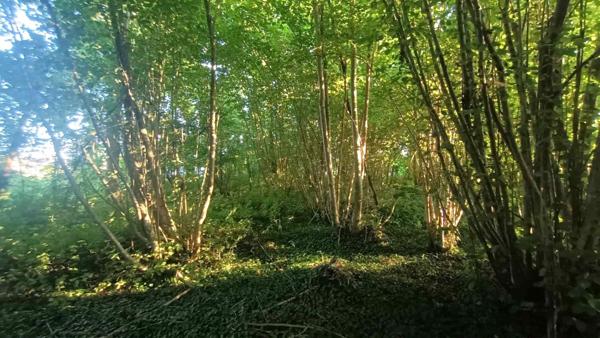 Maison à CHATRES, 10510 - 7 pièces 133m²