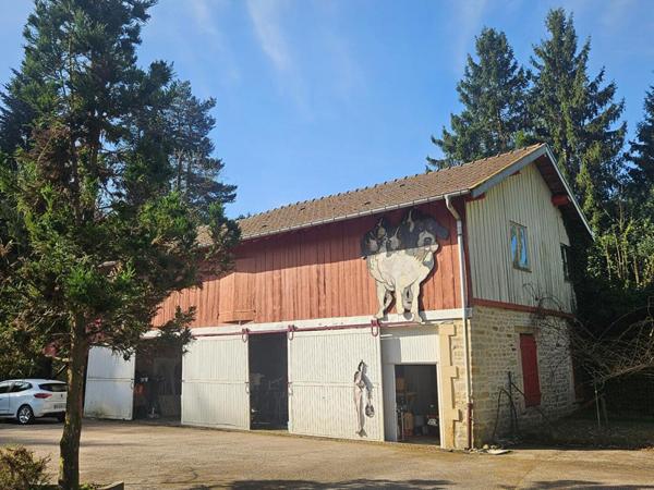 Magnifique propriété arborée au coeur d'Epinal