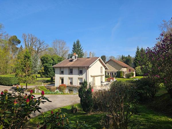 Magnifique propriété arborée au coeur d'Epinal