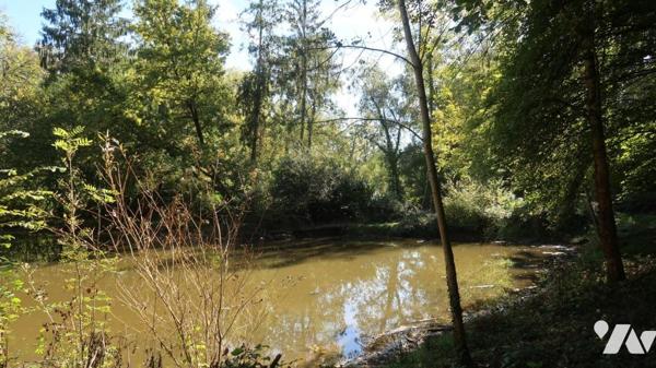 UN TERRAIN DE LOISIR CONTENANT UN PLAN D'EAU ET UN ABRI.