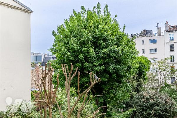 PARIS V -  SAINT VICTOR - STUDIO LOUÉ - 19 M²
Idéalement situé entre les stations de métro Jussieu e