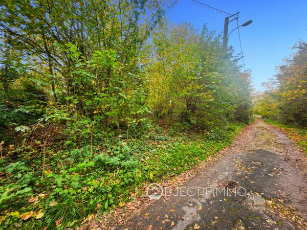 Pommeuse (77515) Terrain non constructible