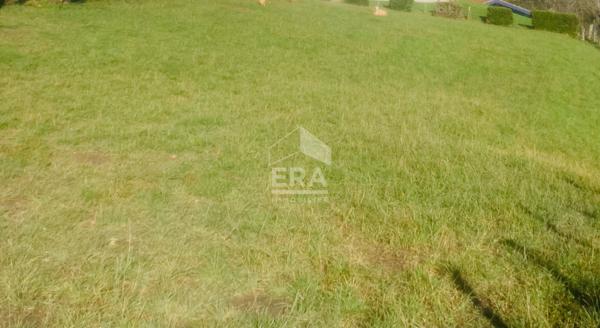 Cambo-Les-Bains - Vente Terrain - constructible