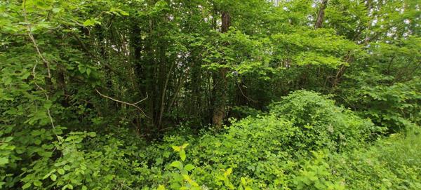 Terrain à vendre    Léguillac-de-l'Auche