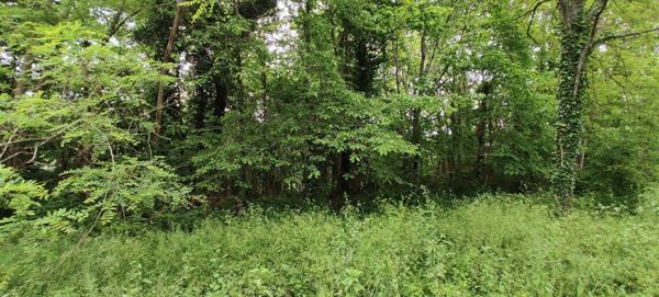 Terrain à vendre    Léguillac-de-l'Auche