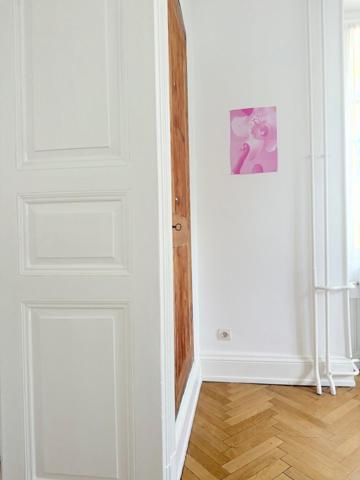 Appartement de charme Haussmanien