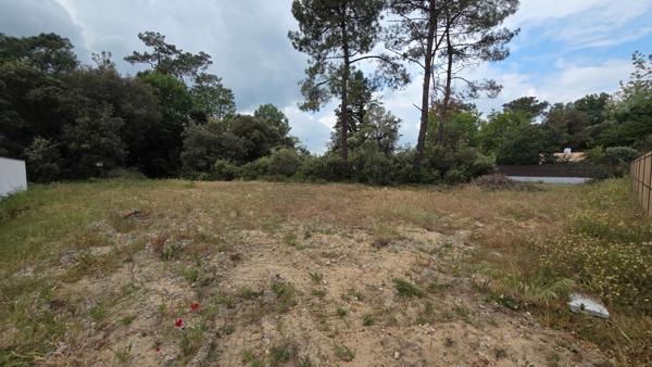 Terrain Saint Hilaire De Riez 762 m2 - 4