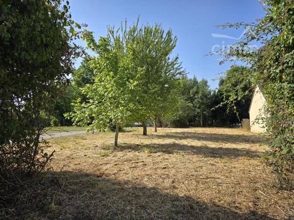 A vendre sur la commune d'Allogny, Chemin de Mehun-sur-Yèvre, terrain à bâtir de 759m².