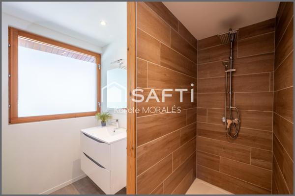 ARLES-SUR-TECH, BEAU MAS SUR UN MAGNIFIQUE ET GRAND DOMAINE