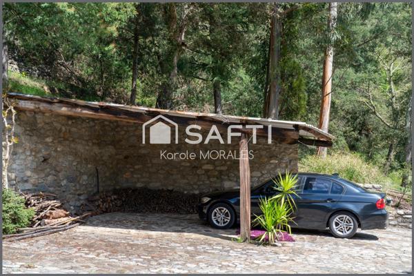 ARLES-SUR-TECH, BEAU MAS SUR UN MAGNIFIQUE ET GRAND DOMAINE