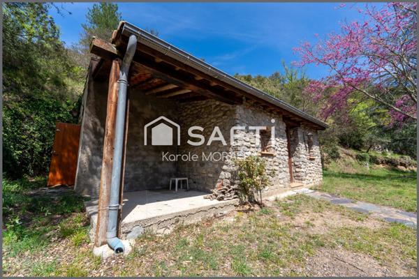 ARLES-SUR-TECH, BEAU MAS SUR UN MAGNIFIQUE ET GRAND DOMAINE