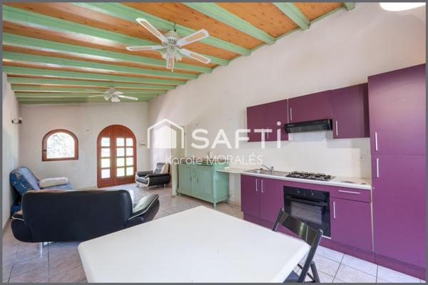 ARLES-SUR-TECH, BEAU MAS SUR UN MAGNIFIQUE ET GRAND DOMAINE