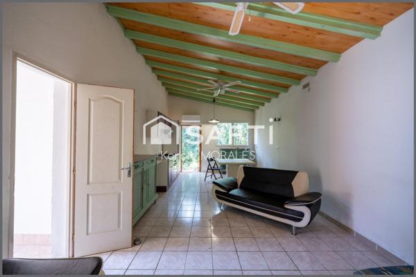 ARLES-SUR-TECH, BEAU MAS SUR UN MAGNIFIQUE ET GRAND DOMAINE