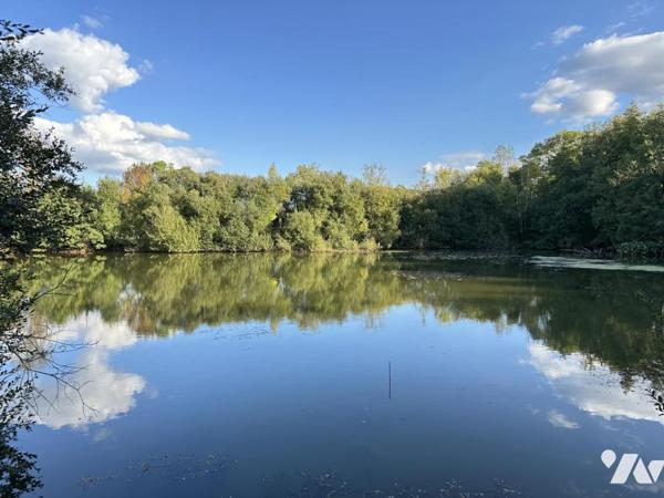 Superbe terrain de 18 700 m² avec deux étangs.