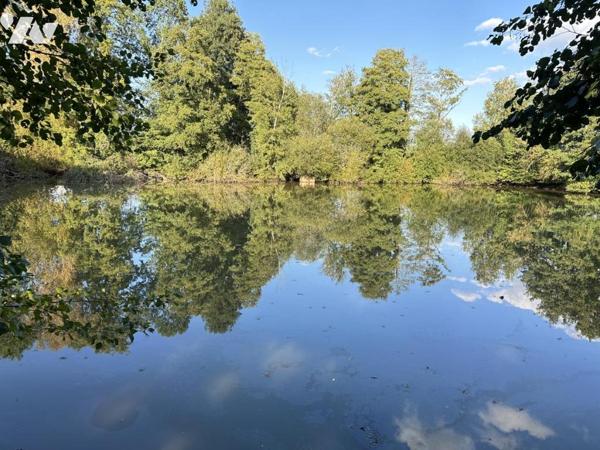 Superbe terrain de 18 700 m² avec deux étangs.