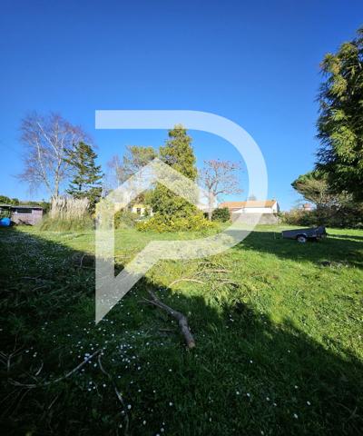 Terrain 1000 m2