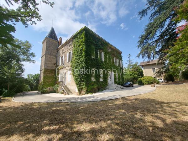 Chateau de 919 m²